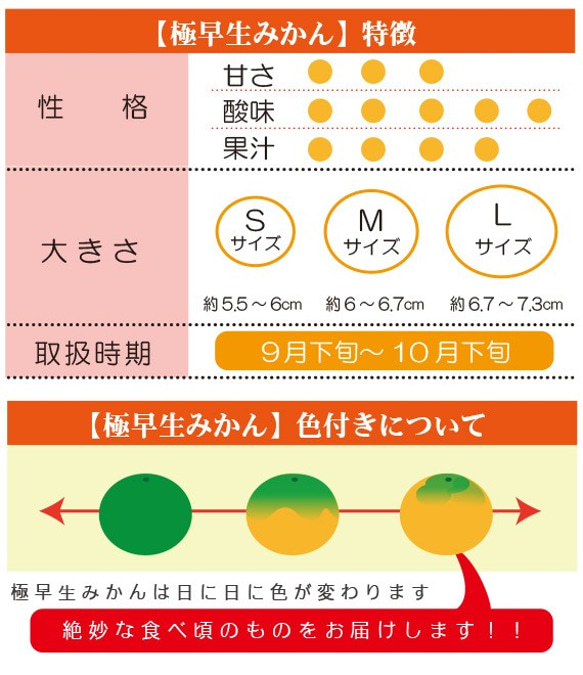 【送料無料】極早生みかん〈家庭用〉約５kg【※今季完売※】 2枚目の画像