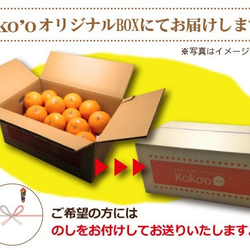 【送料無料】極早生みかん〈家庭用〉約５kg【※今季完売※】 3枚目の画像