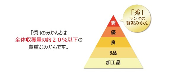 【送料無料】極早生みかん〈秀品〉約５kg 【※今季完売※】 2枚目の画像