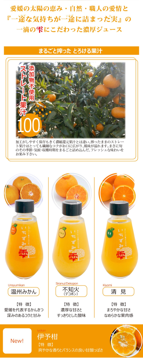 単品 ～果汁率100％みかんジュース～「いちずみの雫」200ml　（品種：温州みかん） 2枚目の画像