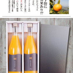 「紅まどんなジュース」２本セット　(720ml×2本)(化粧箱入り)【贈り物・ギフト・熨斗】 3枚目の画像