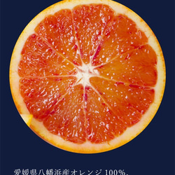 ブラッドオレンジ【2本セット】～極上みかんジュース「至高の一滴」【贈り物・お礼・ギフト・熨斗対応】 3枚目の画像