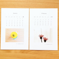 《送料無料》2021 お花のカレンダー ポストカードサイズ 2枚目の画像