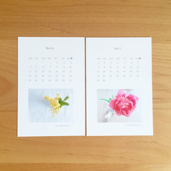 《送料無料》  2019年 花のポストカードサイズ カレンダー 3枚目の画像