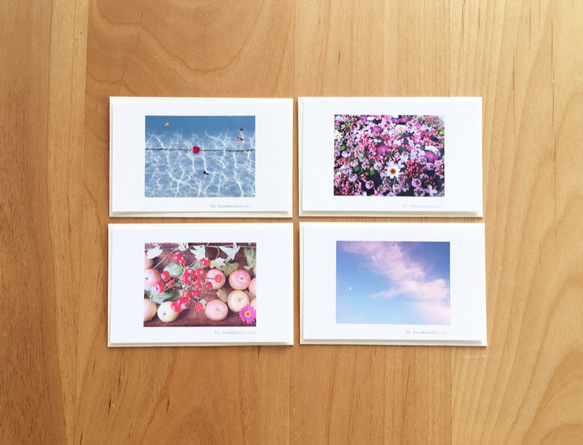 《送料無料》花や空のメッセージカード 封筒のセットC 4枚 2枚目の画像