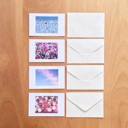 《送料無料》花や空のメッセージカード 封筒のセットC 4枚 3枚目の画像