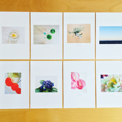 《送料無料》5枚 選べるお花のポストカード C 1枚目の画像