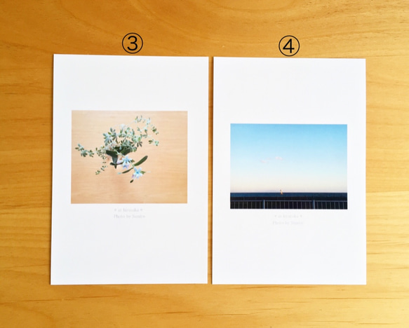 《送料無料》5枚 選べるお花のポストカード C 3枚目の画像