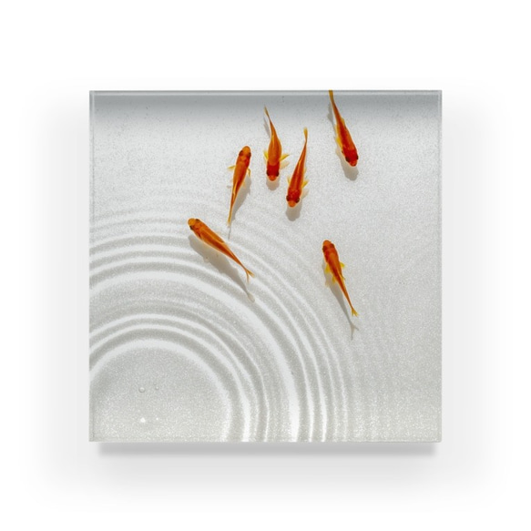 【受注制作】　アクリルブロック　泳ぐ金魚2 2枚目の画像