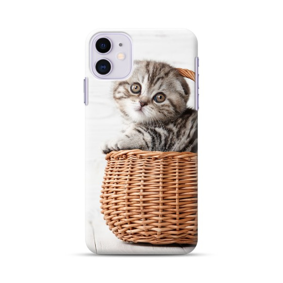 iPhone 手機殼 籃子裡可愛的蘇格蘭折耳貓貓 [使用高分辨率圖像] 第3張的照片