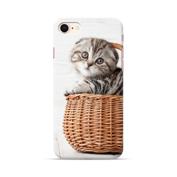 iPhone 手機殼 籃子裡可愛的蘇格蘭折耳貓貓 [使用高分辨率圖像] 第4張的照片