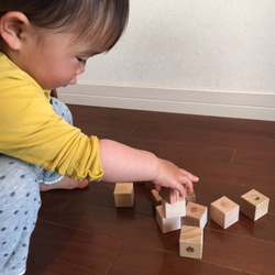 日本の木から生まれたサイコロ積み木 [もりのめぐみ16個ｾｯﾄ] 5枚目の画像