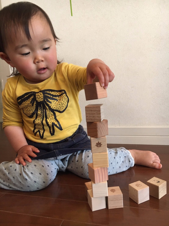 日本の木から生まれたサイコロ積み木 [もりのめぐみ16個ｾｯﾄ] 6枚目の画像