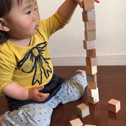 日本の木から生まれたサイコロ積み木 [もりのめぐみ16個ｾｯﾄ] 7枚目の画像