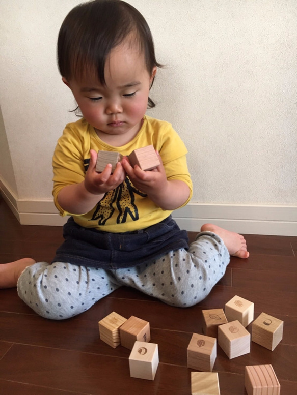 日本の木から生まれたサイコロ積み木 [もりのめぐみ16個ｾｯﾄ] 8枚目の画像