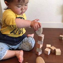 もりのLunch Box 　Aセット　（2歳児〜がおすすめの木のおもちゃセット）国産材 3枚目の画像