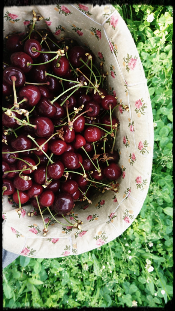 ❝Confiture❞コンフィチュール　“さくらんぼ(紅さやか)　2022　” 2枚目の画像