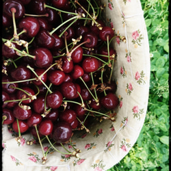 ❝Confiture❞コンフィチュール　“さくらんぼ(紅さやか)　2023” 3枚目の画像