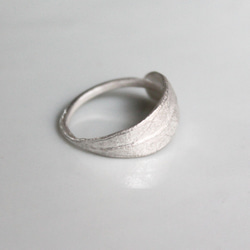 橄欖環 第12張的照片