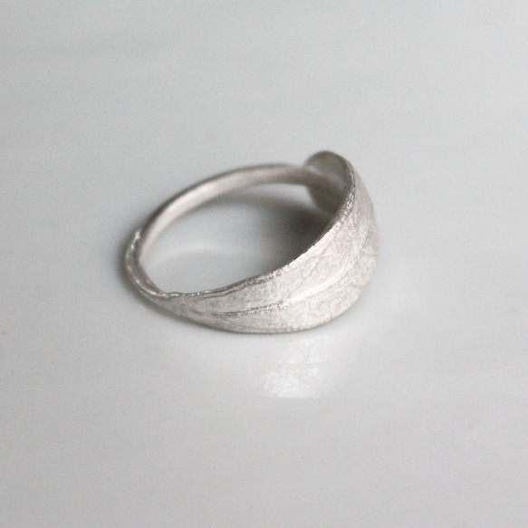 橄欖環 第12張的照片