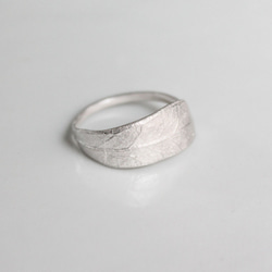 橄欖環 第13張的照片