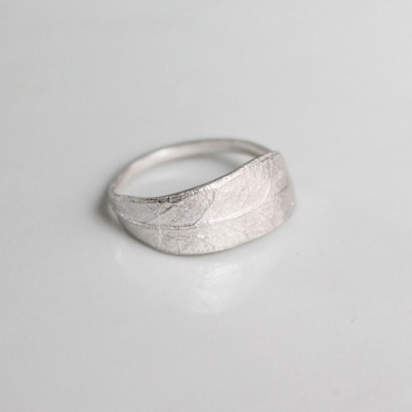 橄欖環 第13張的照片