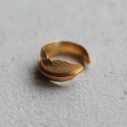 羽耳夾 第6張的照片