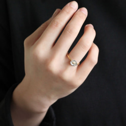 北極環 第6張的照片