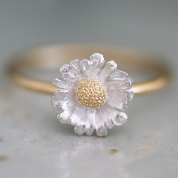 北極環 第1張的照片