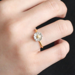 北極環 第2張的照片