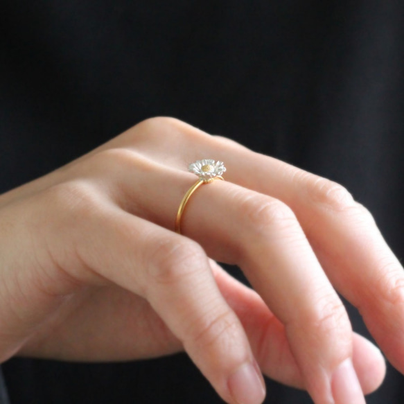 北極環 第7張的照片