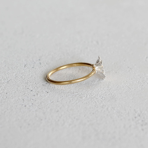 北極環 第4張的照片