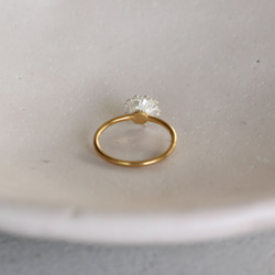 北極環 第5張的照片