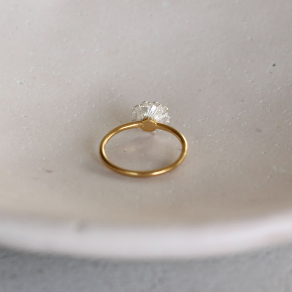 北極環 第5張的照片