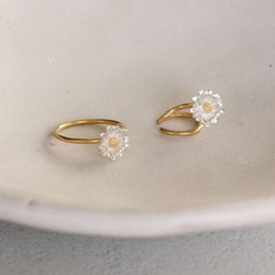 北極環 第8張的照片