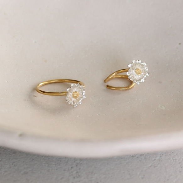 北極環 第8張的照片