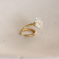 北極耳環 第4張的照片