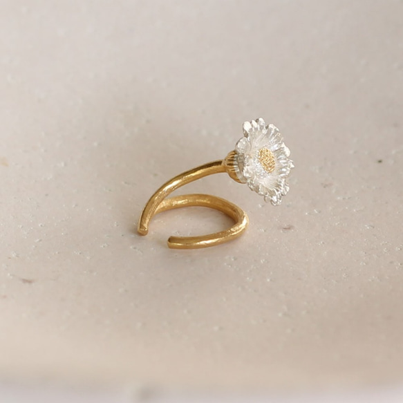 北極耳環 第4張的照片