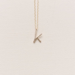 樹枝造型吊墜 字母縮寫項鍊(K) 第1張的照片