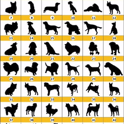 【浮き出る小皿 お正月4枚セット】一富士二鷹三なすび＆選べる干支の犬 3枚目の画像