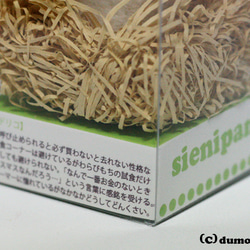 キノコパンダマスコット【黄緑色のキミドリコ】 4枚目の画像