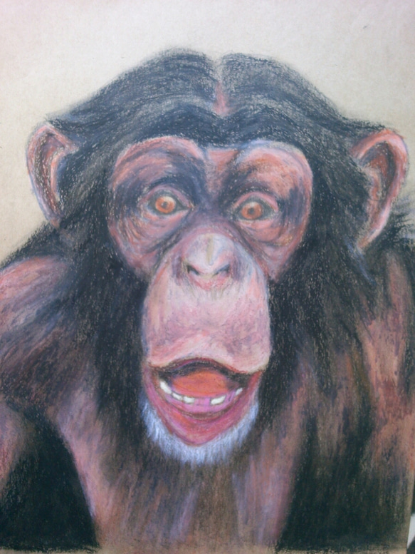 肉筆 真筆 真作 油彩画 油絵 額付絵画 美人画 人物画 肖像画