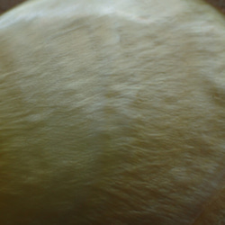 バリ島産白蝶貝　ペンダントトップ　大きめ滴型 8枚目の画像