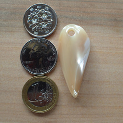 石垣島産高瀬貝　ペンダントトップ　立体牙型 2枚目の画像