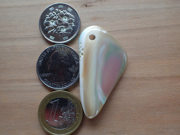 沖縄産夜光貝　ペンダントトップ　緩い牙型　内面研磨 1枚目の画像
