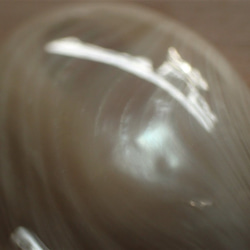 沖縄産夜光貝　穴なしパーツ　オーバル型 極厚10㎜ 2枚目の画像