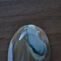 沖縄産夜光貝　穴なしパーツ　オーバル型　芯ber 4枚目の画像
