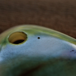 Okinawan turbomarmoratus 吊墜頂部變形水滴型綠色 ber 第6張的照片