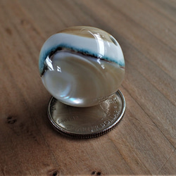 沖繩渦輪mar珠變形球形 第1張的照片