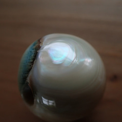 沖繩渦輪mar珠變形球形 第2張的照片